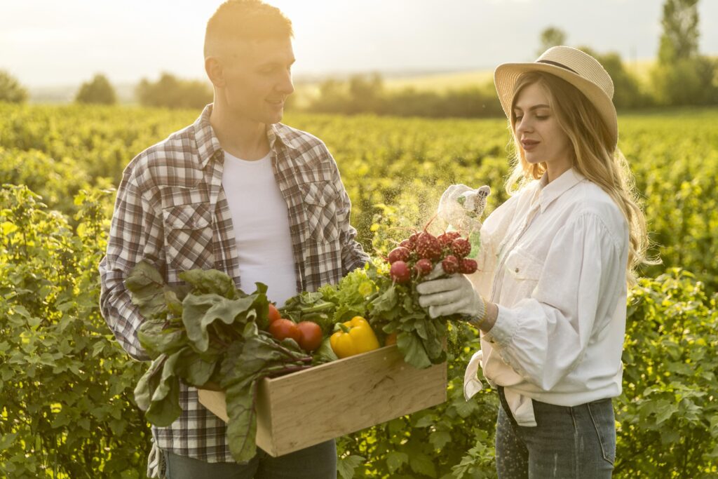 couple d'agriculteurs avec un panier de légumes dans un champ vert