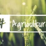 image avec des plantes dans un champ et l'écriture agriculture