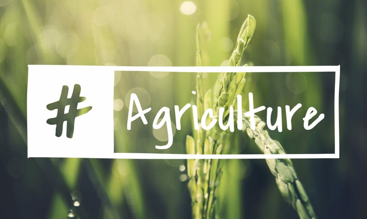 image avec des plantes dans un champ et l'écriture agriculture