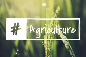 image avec des plantes dans un champ et l'écriture agriculture