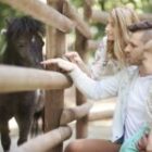 L’agritourisme et ses atouts