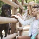 une famille dans une ferme, ils sont en train de caresser un poney