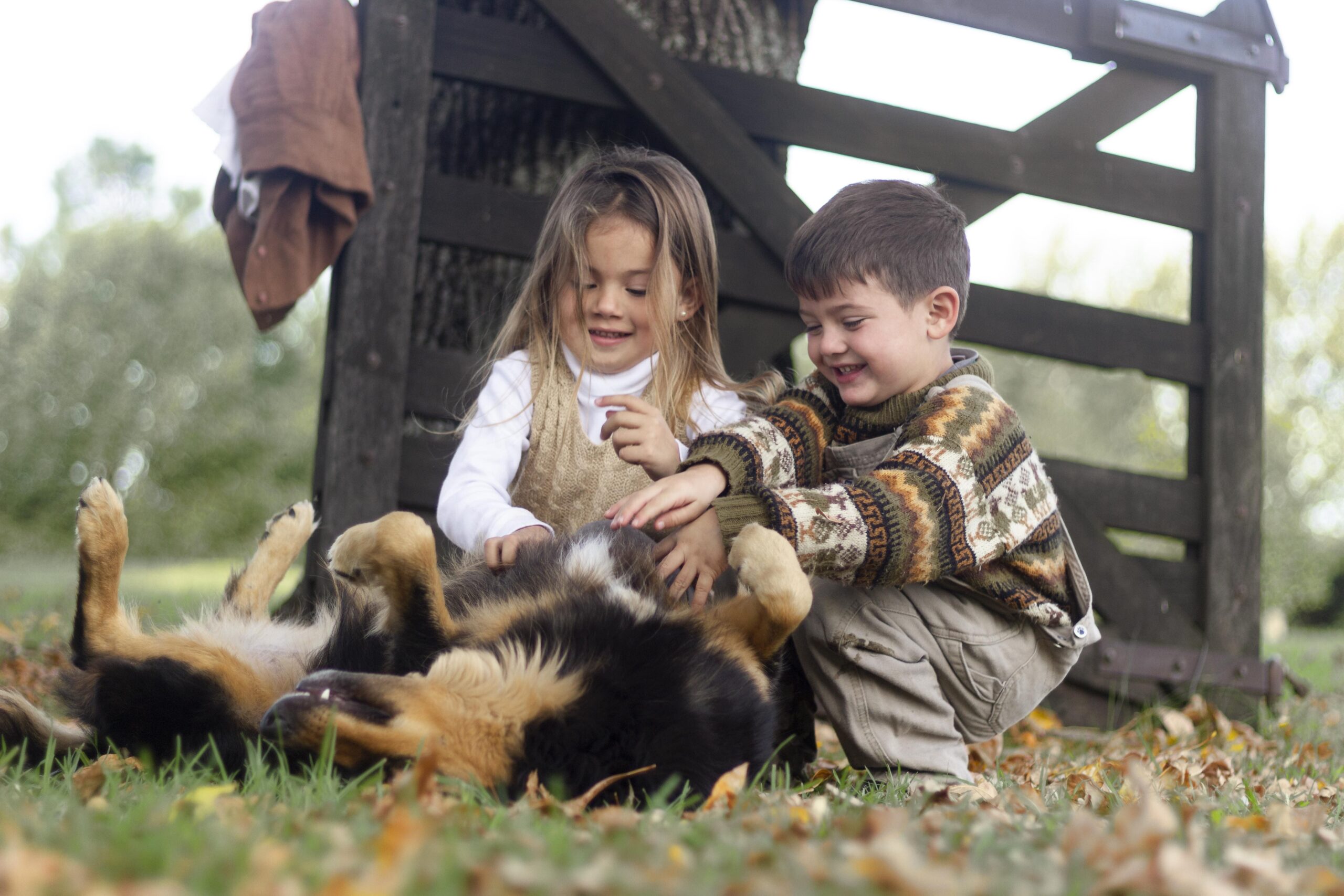 deux enfants, une fille et un garçon, qui jouent avec un chien dans une ferme