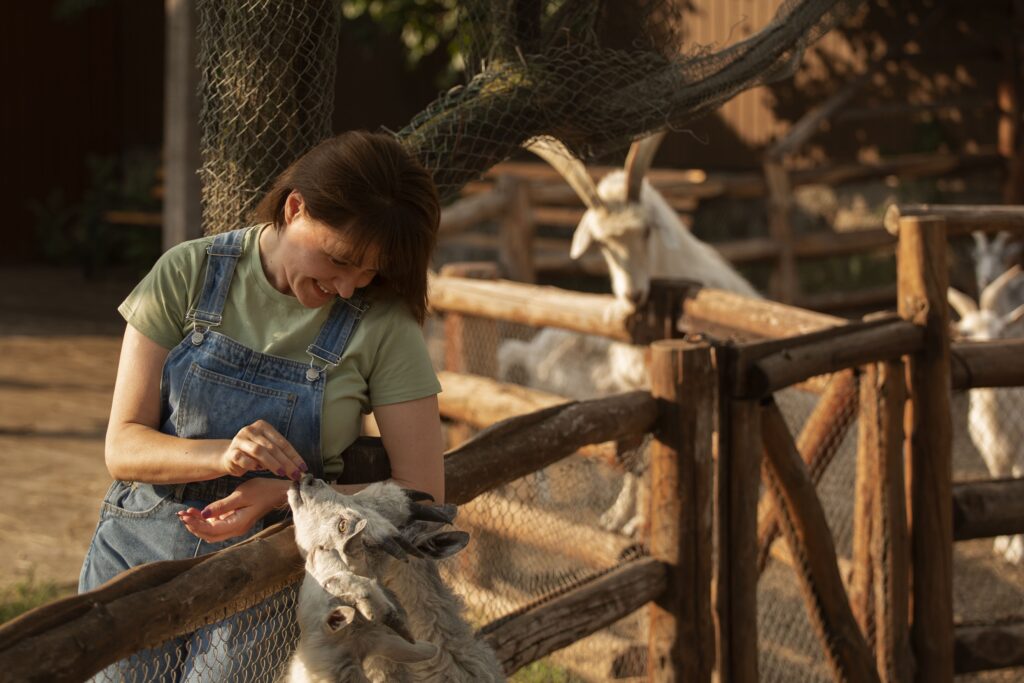 femme dans une ferme qui donne à manger à une chèvre