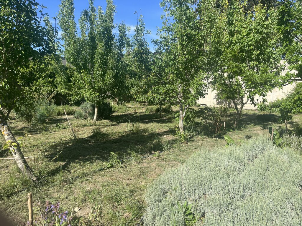agritourism picca pane